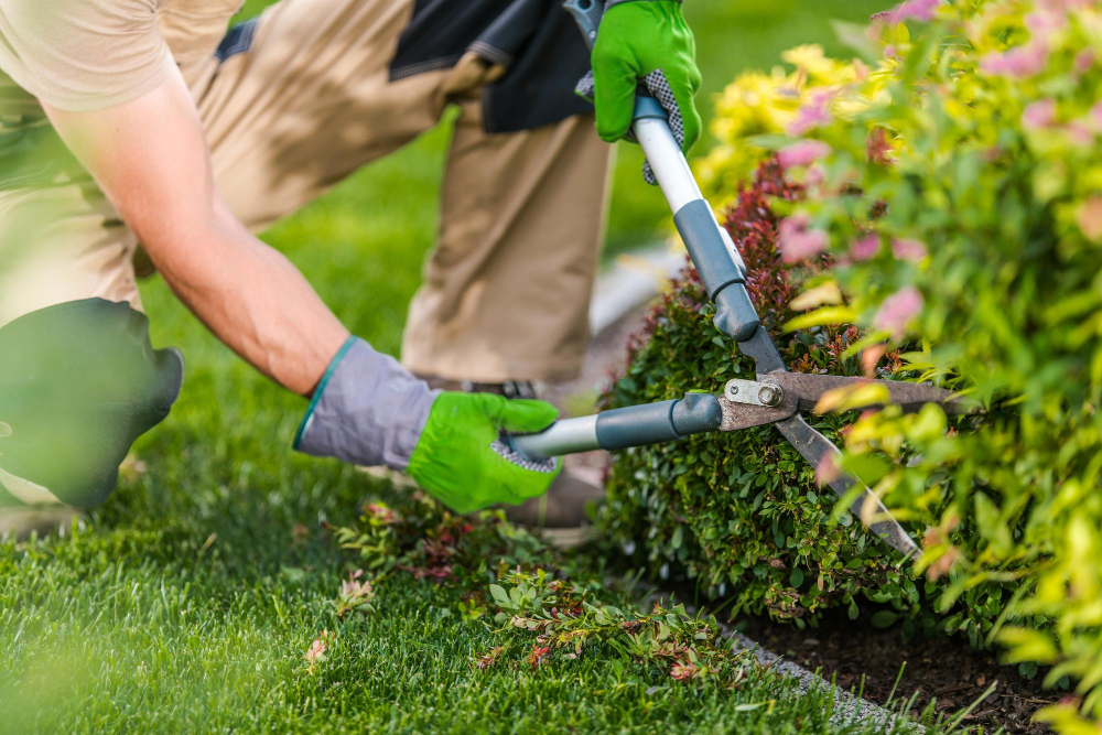 Entretiens espaces verts Entretiens espaces verts